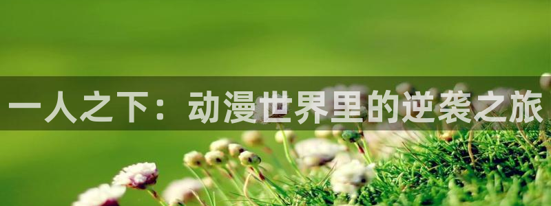 香蕉文化漫画官网入口：一人之下：动漫世界里的逆袭之旅