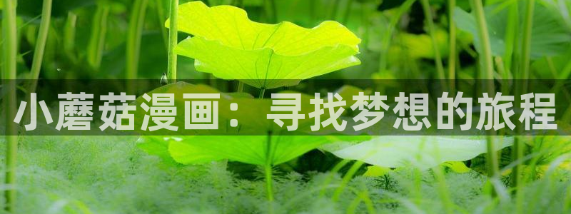 香蕉韩漫漫画：小蘑菇漫画：寻找梦想的旅程