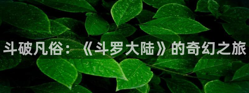 香蕉文化漫画网站