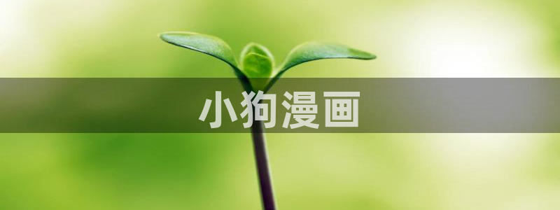 香蕉漫画会员免费