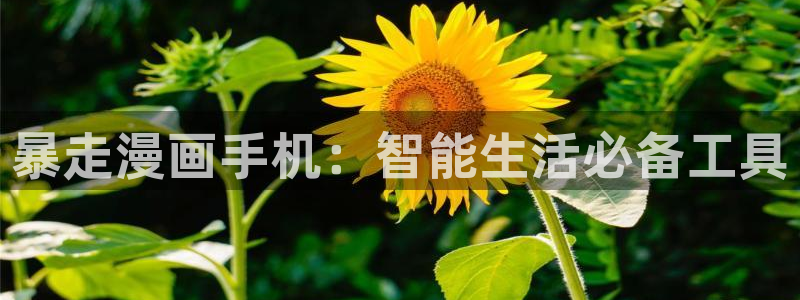 免费看香蕉漫画