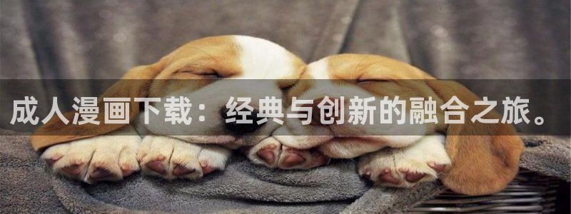 香蕉漫画网址：成人漫画下载：经典与创新的融合之旅。