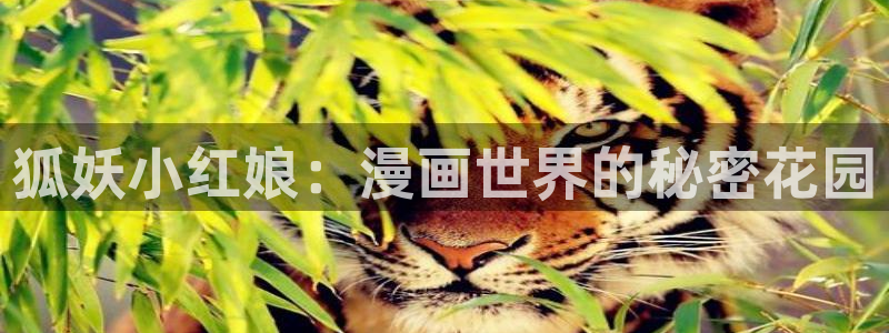 香蕉漫画3d：狐妖小红娘：漫画世界的秘密花园