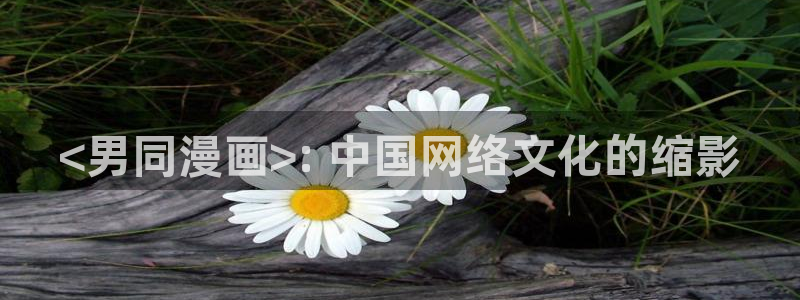 香蕉文化漫画书免费阅读：<男同漫画>: 中国网络文化的缩影
