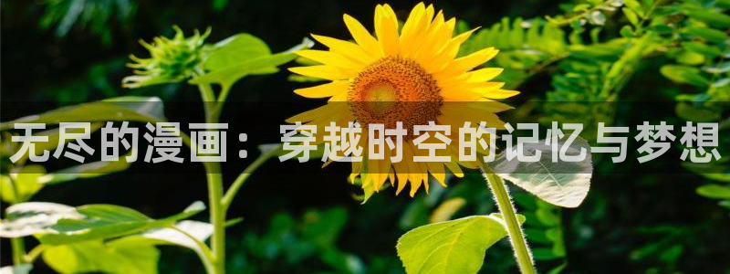 香蕉文化下拉式漫画书阅读平台：无尽的漫画：穿越时空的记忆与梦想