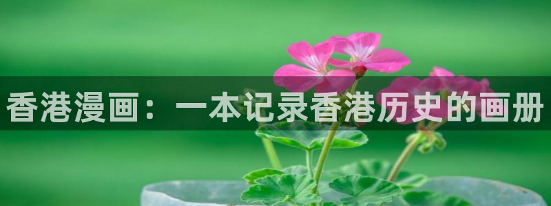 香蕉文化漫画首页登录入口页面在哪里：香港漫画：一本记录香港历史的画册
