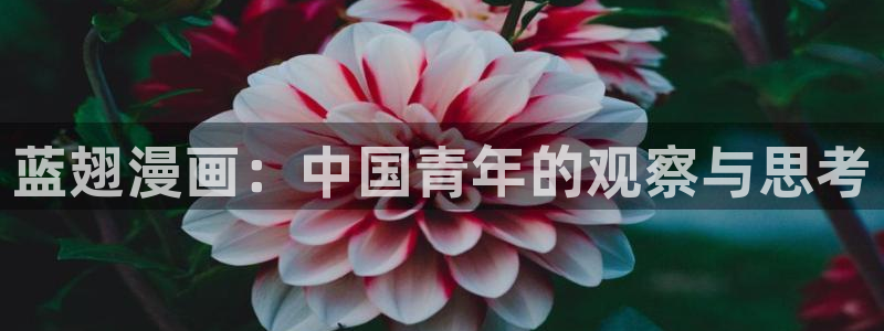 香蕉文化漫画入口页面：蓝翅漫画：中国青年的观察与思考