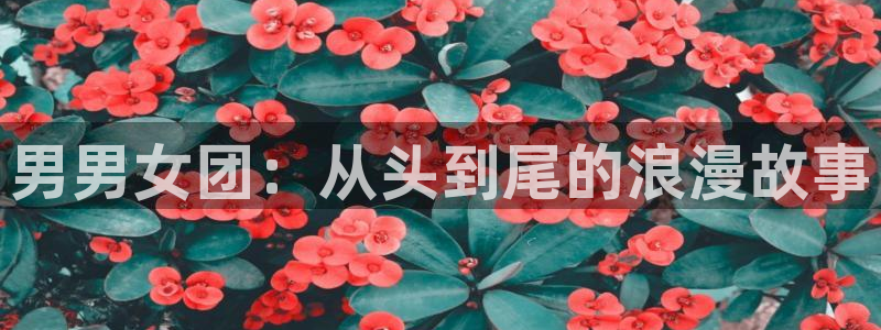 香蕉文化 漫画小说：男男女团：从头到尾的浪漫故事