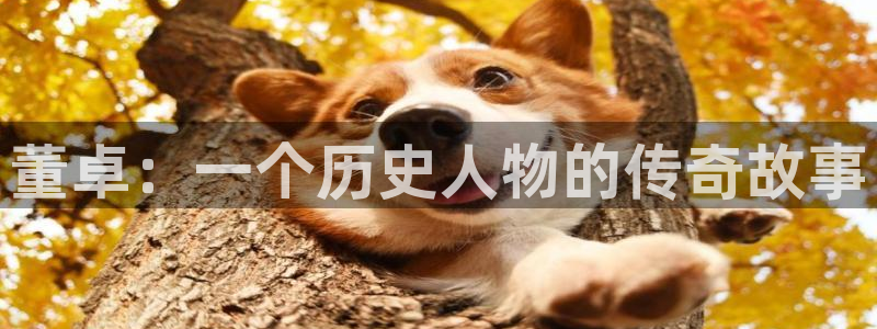 香蕉文化漫画平台：董卓：一个历史人物的传奇故事