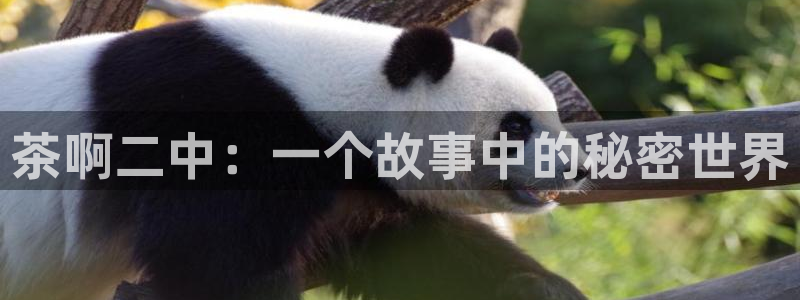 香蕉漫画弹窗：茶啊二中：一个故事中的秘密世界