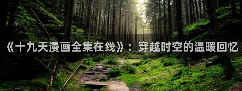 香蕉在线观看视频：《十九天漫画全集在线》：穿越时空的温暖回忆