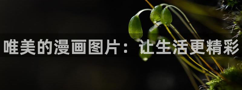 漫画香蕉：唯美的漫画图片：让生活更精彩