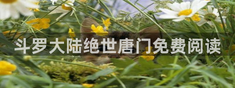 香蕉文化__漫画网站：斗罗大陆绝世唐门免费阅读