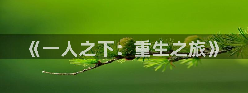 香蕉漫画网站：《一人之下：重生之旅》