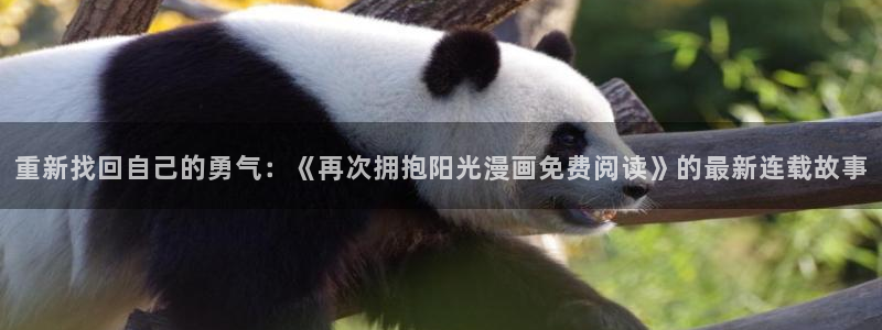 香蕉文化免费看漫画的：重新找回自己的勇气：《再次拥抱阳光漫画免费阅读》的最新连载故事